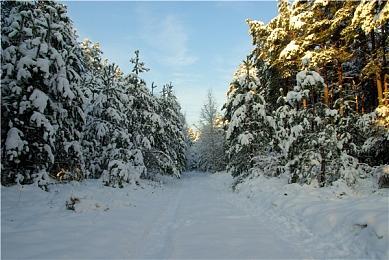 《星空》DLC“破碎空间”褒贬不一 好评率仅43%